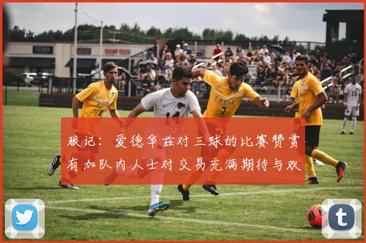 狼记：爱德华兹对三球的比赛赞赏有加队内人士对交易充满期待与欢欣
